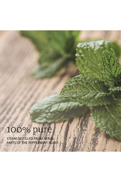 Now Peppermint Oil - 30ml