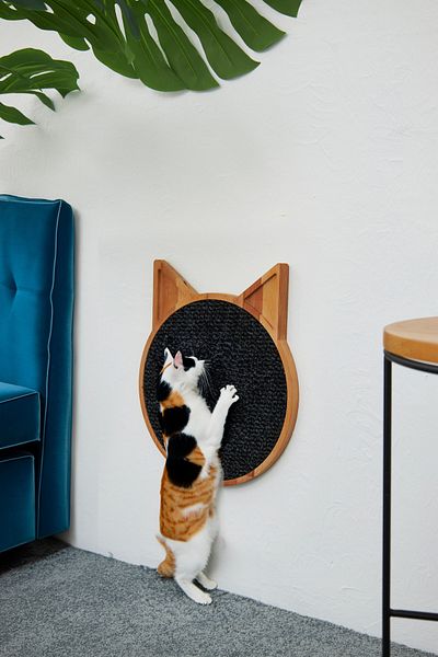 ESLENTA Black Round Cat Scratching Board - Natural Wood Mounted Solid Wall