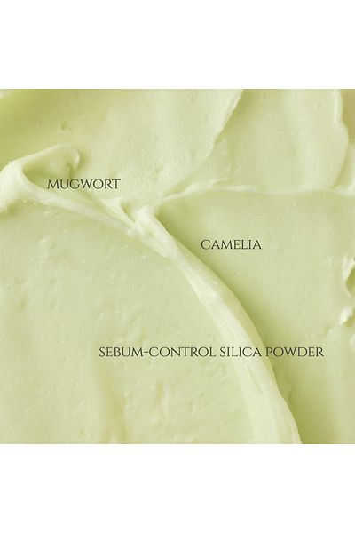 Beauty of Joseon Beauty of Joseon Sunscreen Stick Matte Mugwort & Camellia SPF 50+ (PA++++) - 18g
