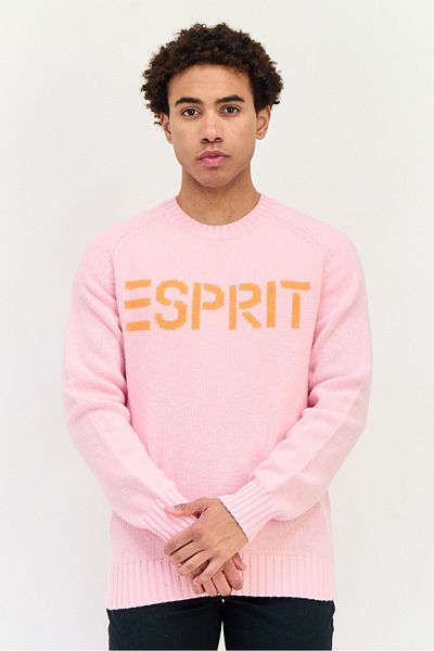 Esprit Men Crew Neck Brand Logo Sweater, Pink