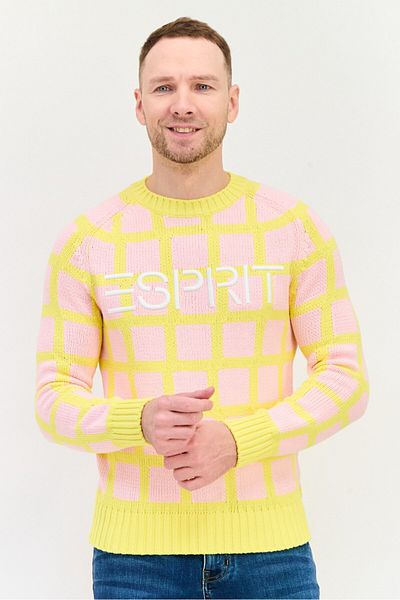 Esprit Men Ribbed Neck Embroidered Logo Knitted Sweater, Multicolor