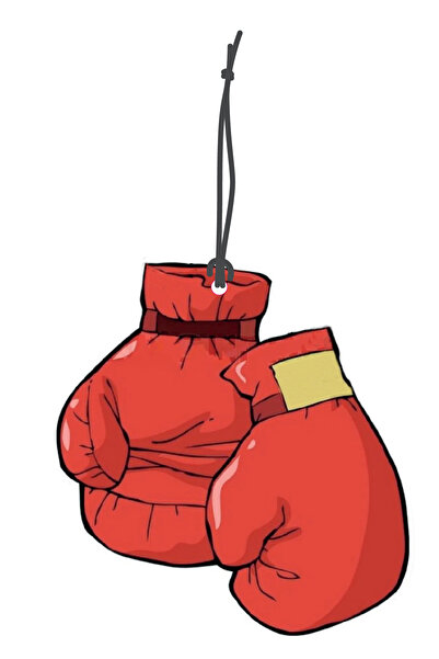 Genel Markalar Boks Eldiveni Görselli Dekoratif Oto Kokusu ve Aksesuar Seti