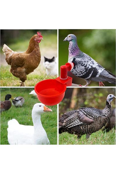 OEM Set Of 6 Chicken Waterers, Plastic, Red