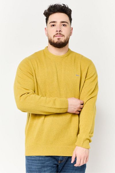 Harmont & Blaine Men Crew Neck Knitted Sweater, Yellow