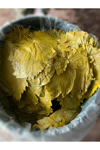 Ayrıntı Mağazacılık 4800kg Tokat Bağ Yaprağı Salamura Doğal Ve Ev Yapımı Sarm...