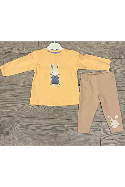 Lmn Girl's Silvery Rabbit Leggings Set