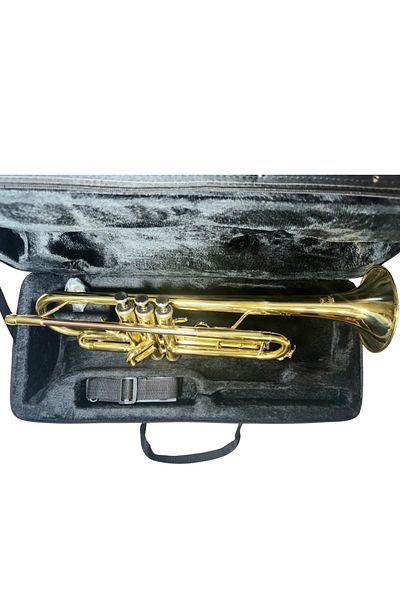 Parrot Parrot 6416L B-flat trumpet, lacquered