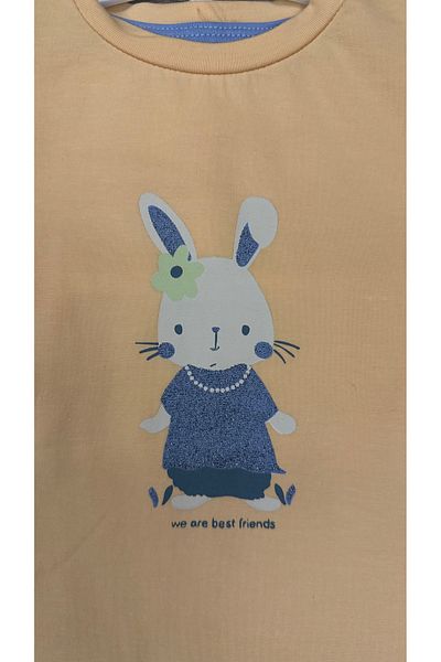 Lmn Girl's Silvery Rabbit Leggings Set
