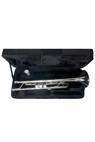 Parrot Trumpet B-flat Parrot 6416S, silver