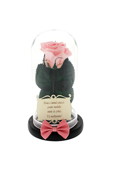 GiftExpress Trandafir criogenat roz sub cupola cu mesaj pentru doamna invatat...