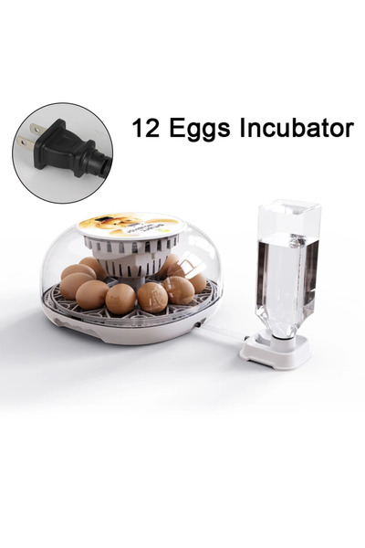 Choice3 حاضنة بيض الدجاج والبط والأوز الصغيرة المنزلية بمقبس أمريكي 110 فولت،...