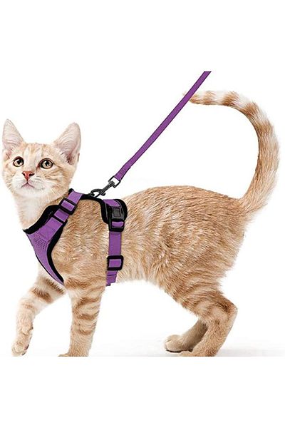 Choice S PURPLE Cat Harness and Leash for Walking, Escape Proof Soft Adjustable Vest Harnesses for Cats, Ea