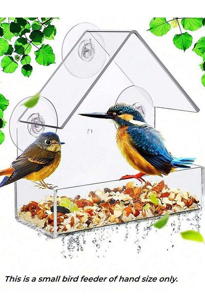 Choice Transparent 1pcs Acrylic Bird Feeder Clear Window Outside Hanging Bird Feeder House with Suction Cup
