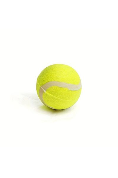 Choice 1x ball Pet Tennis Ball Launcher Stick - Interactive Outdoor Dog Training Toy, Durable Ball Thrower