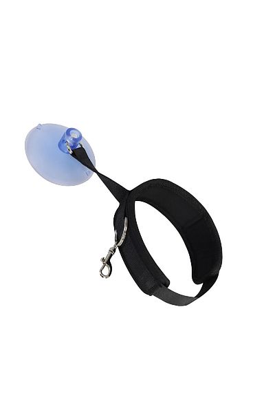 Choice Pet fixed collar Pet Shower Fixed Collar Cat Dog Beauty Bath Traction Belt Suction Cup Fixed Adjusta