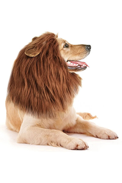 Choice ملابس تنكرية للكلاب الأليفة لطيفة ذات لون بني غامق مقاس L، شعر مستعار ...