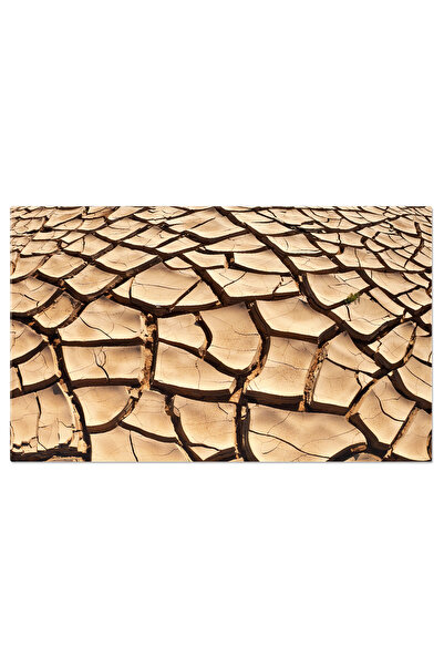 StoryGift Romania Tablou Canvas Pamantul Uscat Si Crapat In Namibia Uscat, Cr...