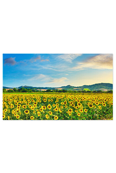 StoryGift Romania Tablou Canvas Camp De Soareci In Panorama Peisajului La Apus In Toscana, Panorama, Peisaj, Tosc