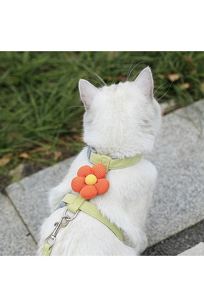 Choice S Green Cat Harness and Leash Sets Adjustable Dog Harness for Small Dog Leash Breashable Pet Harness