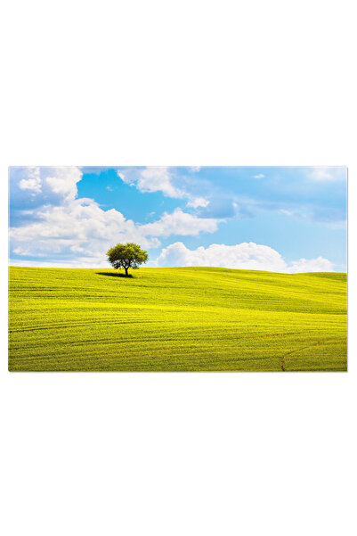 StoryGift Romania Tablou Canvas Maslin Si Campuri Verzi, Montalcino, Italia, ...