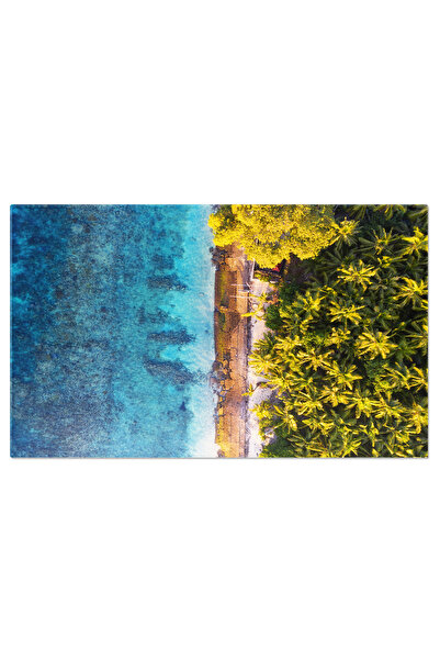 StoryGift Romania Tablou Canvas Vedere Aeriana La Ocean Si Palmieri, Apa Turcoaz Palmieri, Ocean, Natura, Plaja,