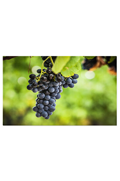 StoryGift Romania Tablou Canvas Flori Roz De Rododendron In Munti Roz, Rodode...