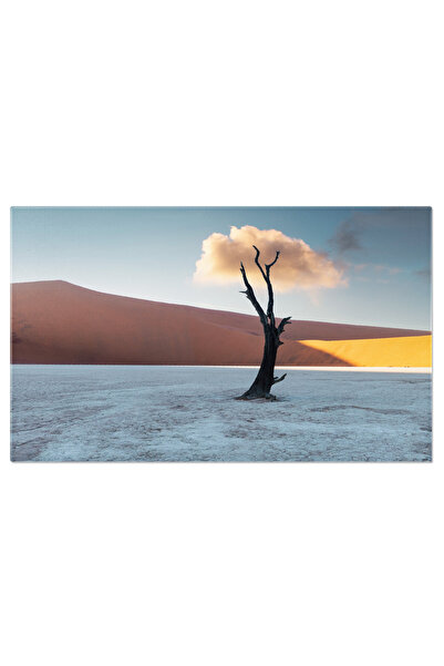 StoryGift Romania Tablou Canvas Noapte Sub Cerul Namibian Deadvlei, Namibia, ...