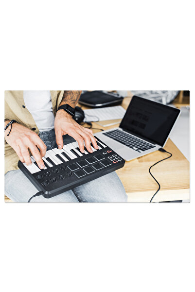 StoryGift Romania Tablou Canvas Muzica Si Tehnologie Dj Modern Lucrand Cu Placa Mpc, Creand Ritmuri Si Melodii In