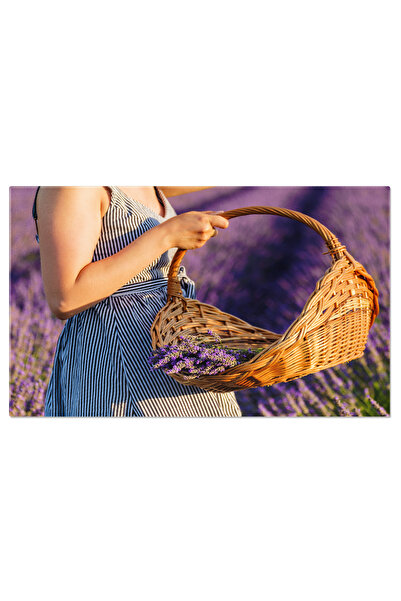 StoryGift Romania Tablou Canvas Mana De Femeie Tinand Un Cos Plin Cu Lavanda ...