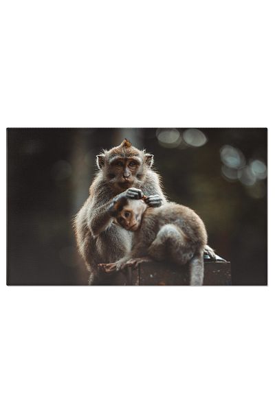 StoryGift Romania Tablou Canvas Maimuta Asiatica In Armonie Cu Natura Asiatic, Natura, Bali, Indonezia, Padure 36