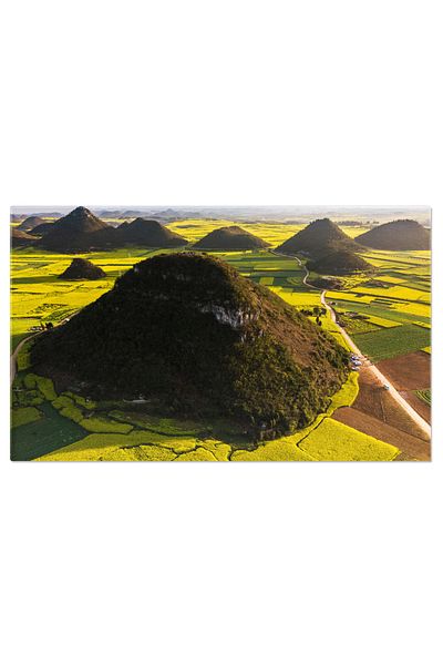StoryGift Romania Tablou Canvas Cu Culturi De Flori - Agricultura Si Culoare In China