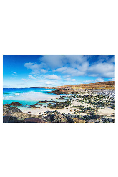 StoryGift Romania Tablou Canvas Flori Infloritoare In Gradina Plante Naturale...