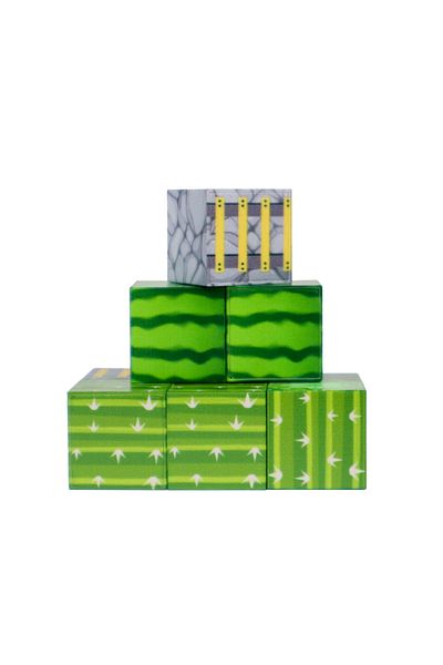 Megacraft Magnetic Blocks Watermelon-Cactus-Stone with Ladder