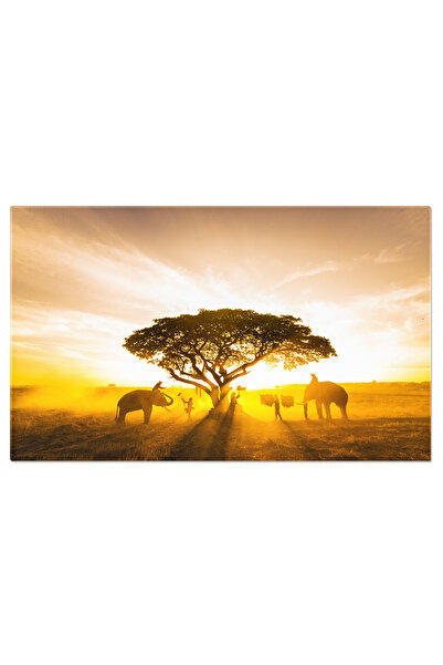 StoryGift Romania Tablou Canvas Elefanti La Rasarit In Thailanda Agro-cultura...