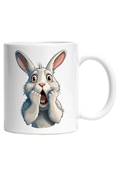 StoryGift Romania Cana Cu Un Iepure Socat | Ilustratie | Speriat | Nu A Mai V...