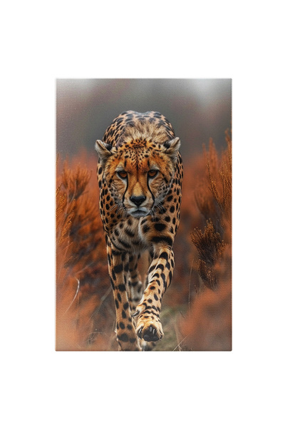 StoryGift Romania Tablou Canvas Grația Ghepardului Înainte De Sprintul Morții...