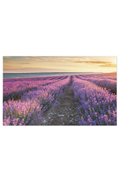 StoryGift Romania Tablou Canvas Camp De Lavanda La Apus, Fundal, Frumusete, I...