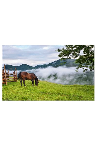 StoryGift Romania Tablou Canvas - Cal In Gradina Cu Ceta, Aventuri In Ucraina, Natura Imbratisata