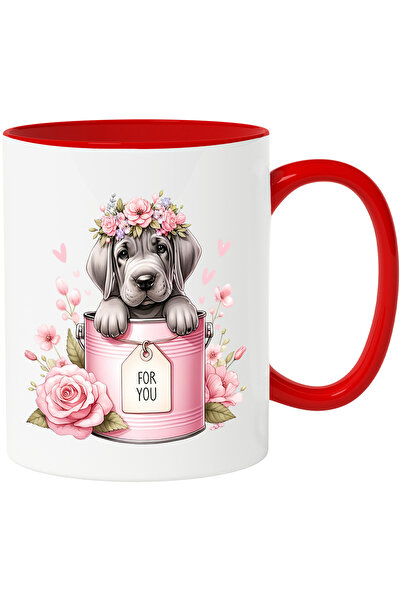 StoryGift Romania Cana Cu Un Catel Gri Rusinos Care Iese Dintr-o Conserva | I...