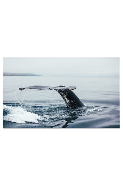 StoryGift Romania Tablou Canvas - Minunea Naturii Subacvatice: Pestele Mare In Vastitatea Oceanului - Natura, Mac