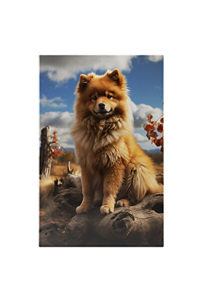 StoryGift Romania Tablou Canvas: Călătorie În Timp O Privire Spre Trecut Și V...