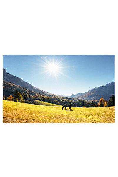 StoryGift Romania Tablou Canvas, Peisaj Montan Cu Cai La Pasune - Dolomite, T...