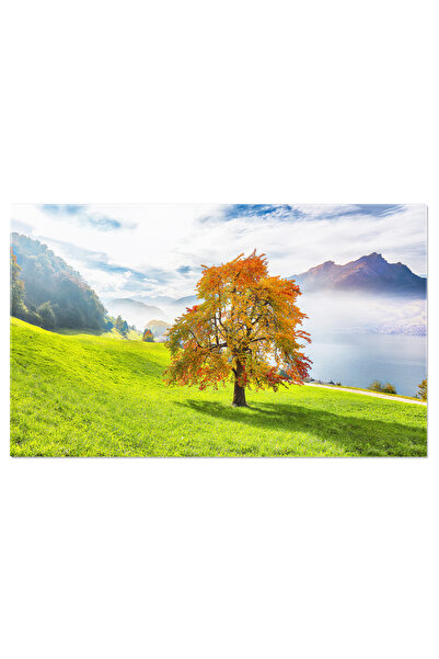 StoryGift Romania Tablou Canvas Vedere De Toamna Minunata Asupra Suburbiei St...