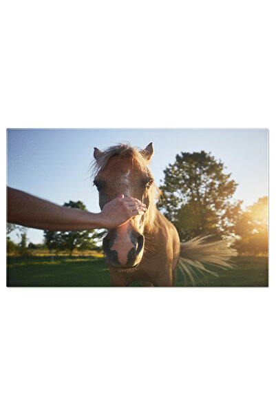 StoryGift Romania Tablou Canvas Om Mangaind Capul Calului Terapeutic, Cal, Te...