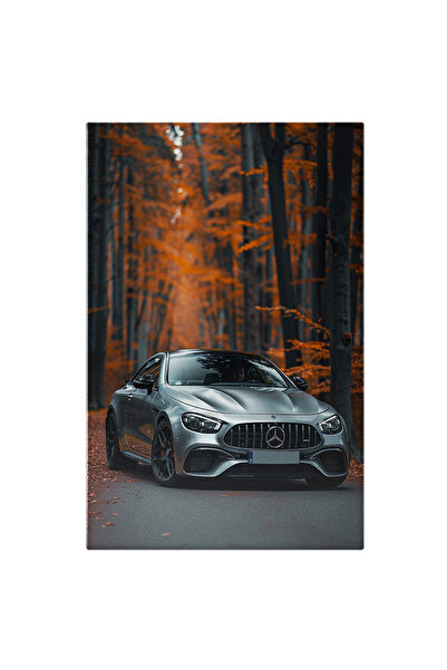StoryGift Romania Tablou Canvas Barbat Care Conduce O Masina Mercedes Gri Int...