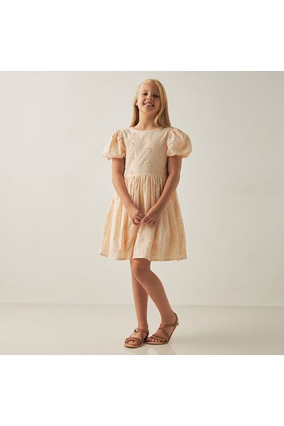 ELIGO Floral Embroidered A-Line Dress With Short Puff Sleeves And Zip Closure