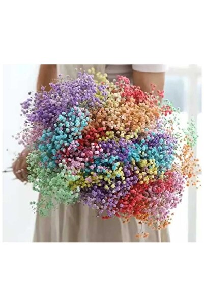 yapay çiçek evi Kuru Çiçek Doğal MOR Cipso 45 gram 1. Kalite Şoklanmış Bozulmaz