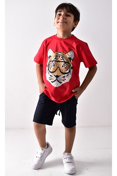 Banadamoda Boy's Printed T-shirt Shorts Set