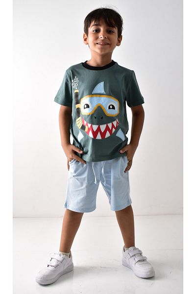 Banadamoda Boy's Printed T-shirt Shorts Set