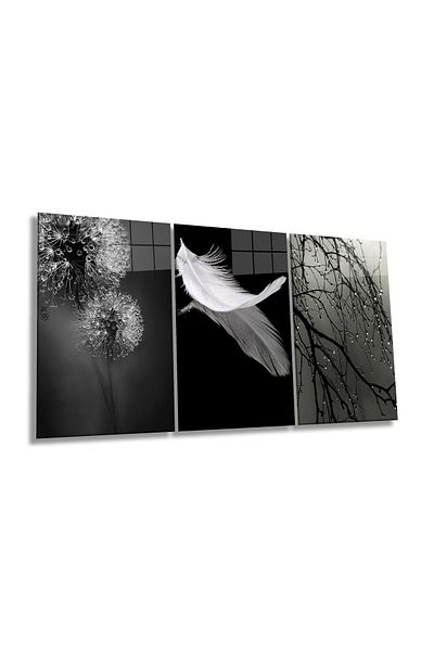 Rosyvien Combinație de pene alb-negru și gri Set 3 piese Masa din sticlă, Decor de perete pentru casă și birou, Cadou de lux